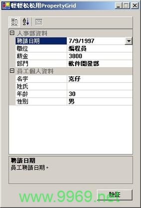 如何充分利用PropertyGrid来提升你的应用程序的用户体验？插图