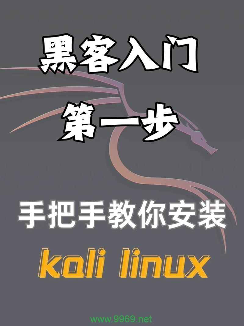 Kali Linux 安装完毕后，我应该如何进行系统配置和更新？插图