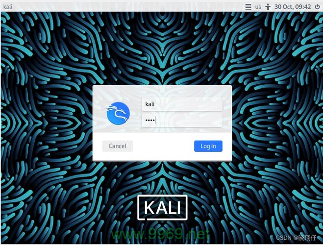 Kali Linux 安装完毕后，我应该如何进行系统配置和更新？插图2