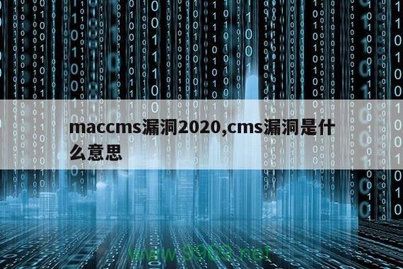 苹果CMS安全漏洞曝光，您的网站还安全吗？插图4