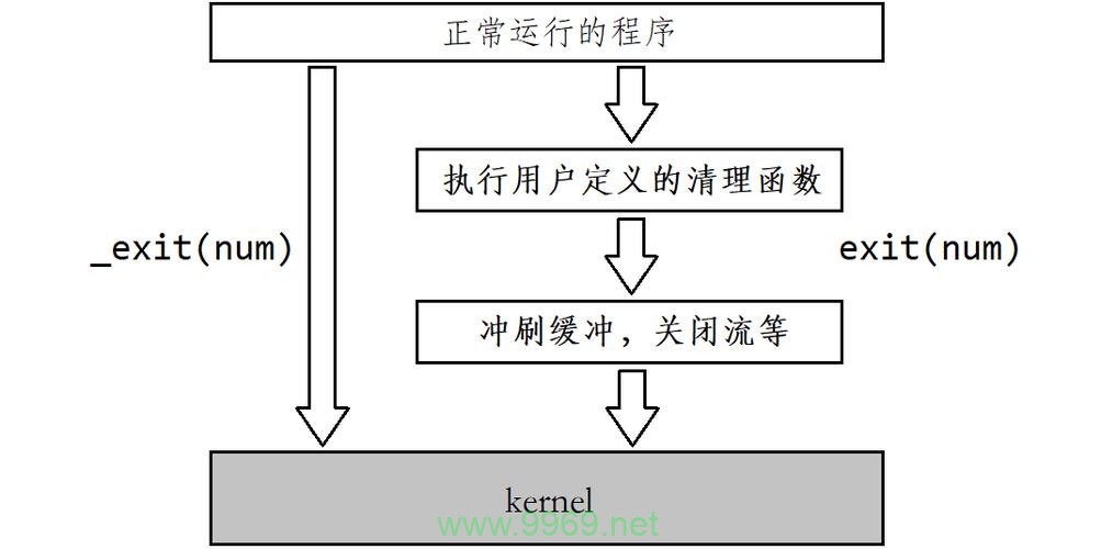 如何有效地在Linux系统中强制终止顽固进程？插图4