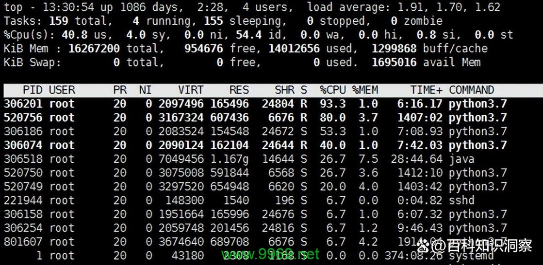 如何在Linux中查看堆内存的使用情况？插图