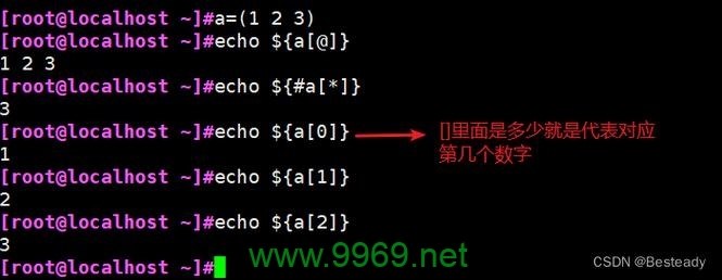 如何在 Linux Shell 中定义和使用数组？插图