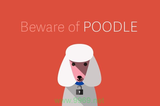 Poodle漏洞，互联网安全的新挑战？插图2