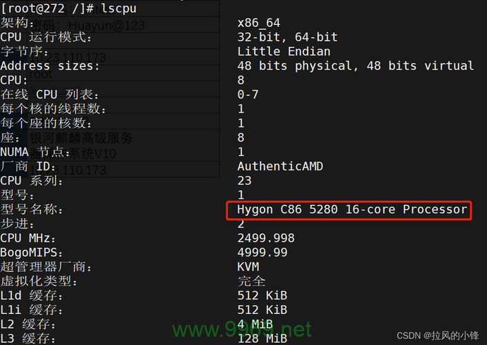 如何快速查看Linux系统中的CPU类型信息？插图2