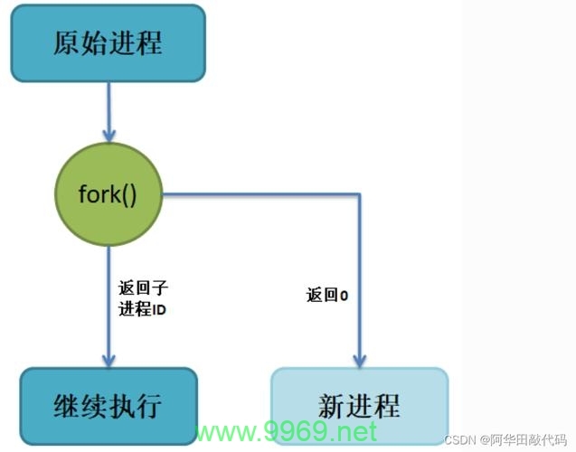 如何在Linux中创建和管理进程？插图