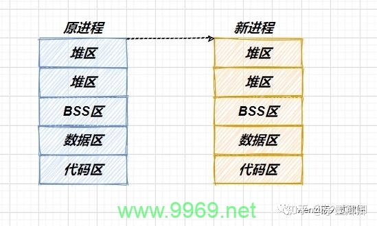 如何在Linux中创建进程，探索关键函数及其应用？插图