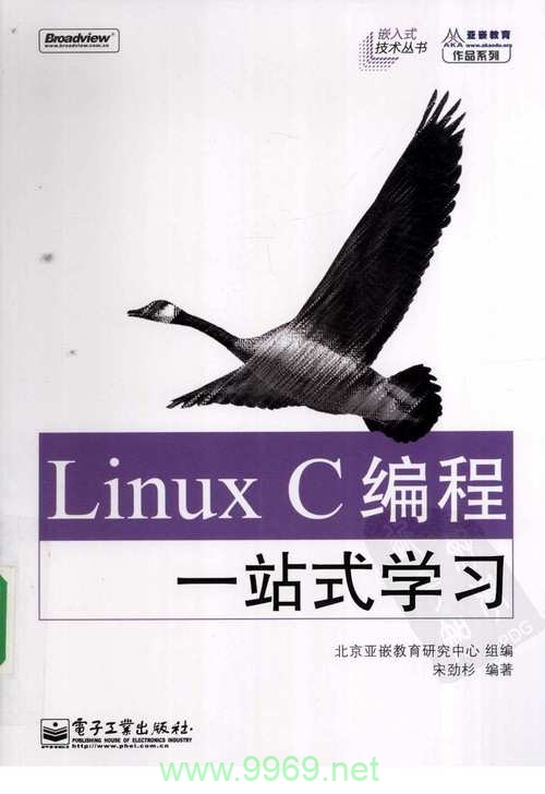 探索CC1 Linux，它如何革新开源操作系统领域？插图2