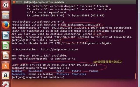 如何在Linux系统中启用SSH远程登录功能？