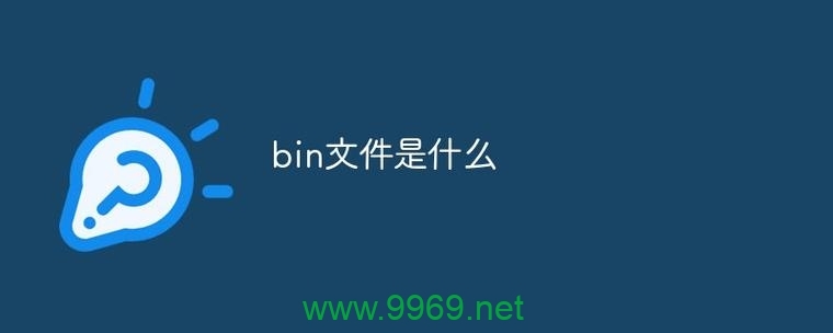 您想了解什么是cdn.bin吗？插图