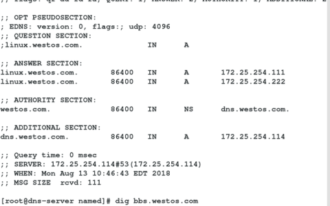 如何确保Linux DNS配置生效？