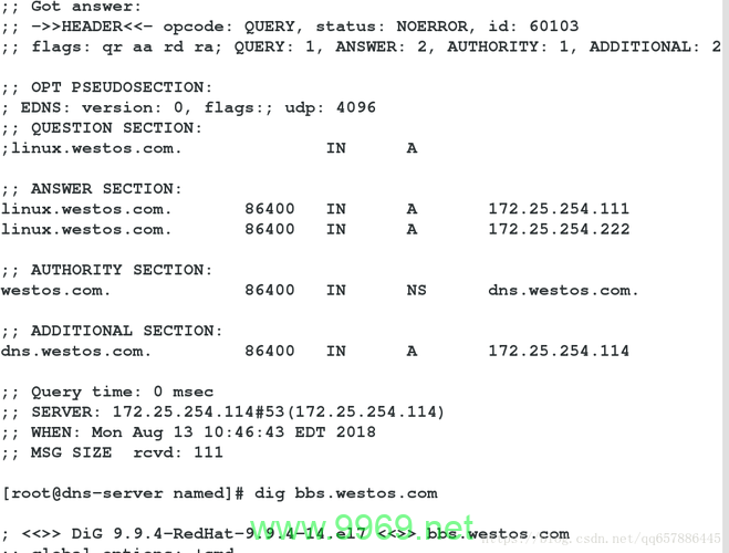 如何确保Linux DNS配置生效？插图