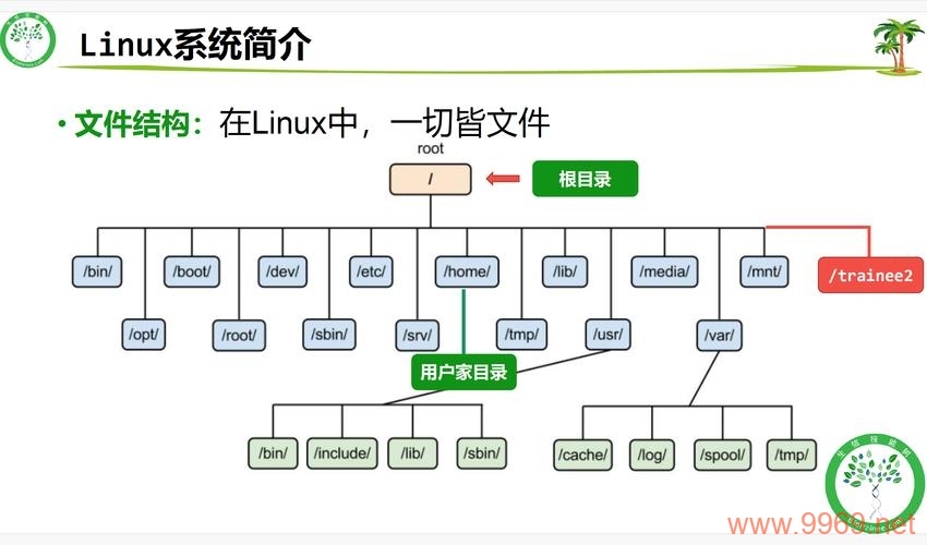 如何在Linux系统中打开特定文件？插图