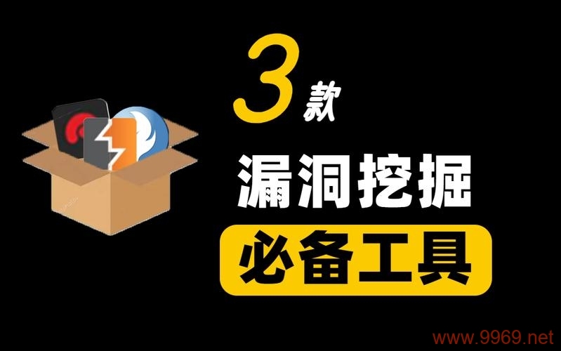 如何有效利用漏洞挖掘工具提升网络安全？插图