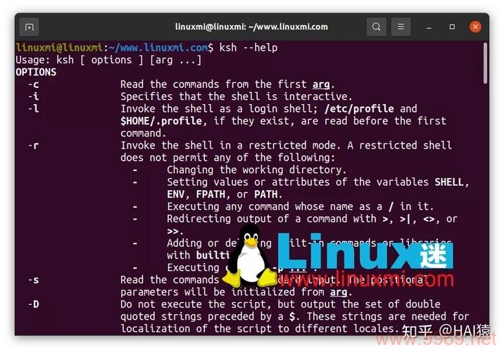 在Linux Shell中，if -s命令是如何工作的？插图2