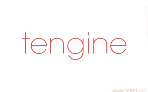 tengine 服务器软件最近发现了哪些安全漏洞？