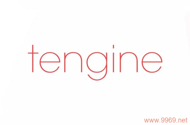 tengine 服务器软件最近发现了哪些安全漏洞？插图