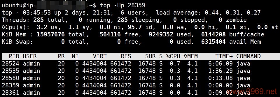 如何在Linux系统中查看Java的启动选项（opts）？插图