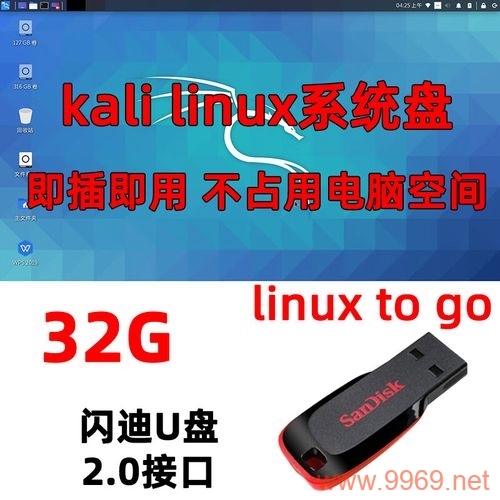 如何在Linux系统中成功挂载U盘？插图