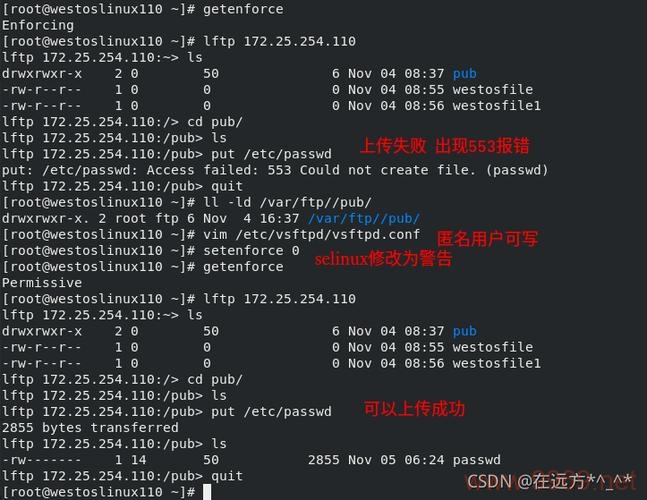 Linux Bool头文件，它的作用和使用方法是什么？插图4