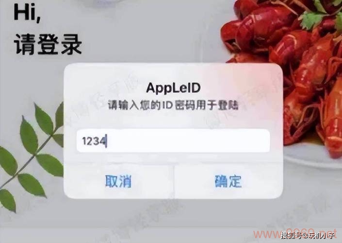 苹果ID安全漏洞曝光，我们的数据还安全吗？插图2