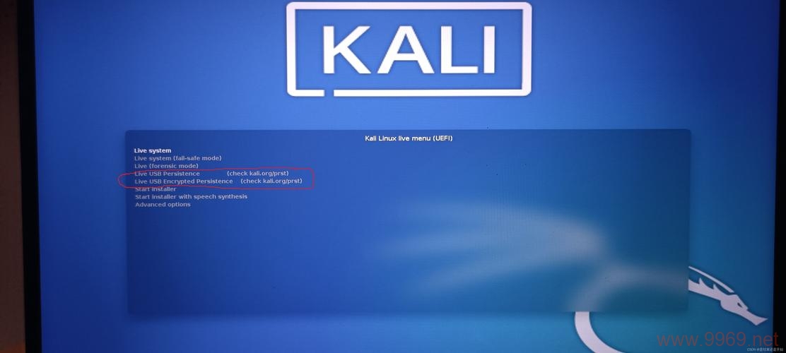 如何成功安装并运行Kali Linux的Live版本？插图2