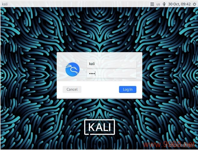 如何成功安装并运行Kali Linux的Live版本？插图