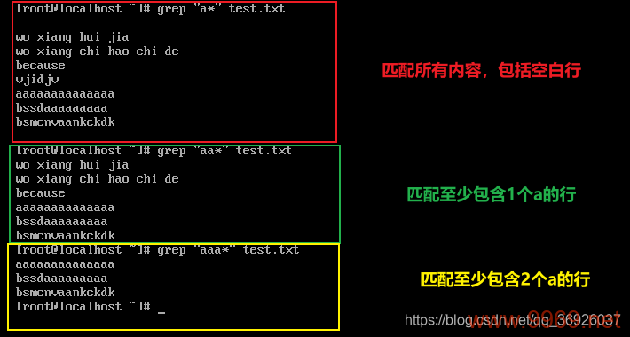 如何在Linux Shell中高效操作字符？插图