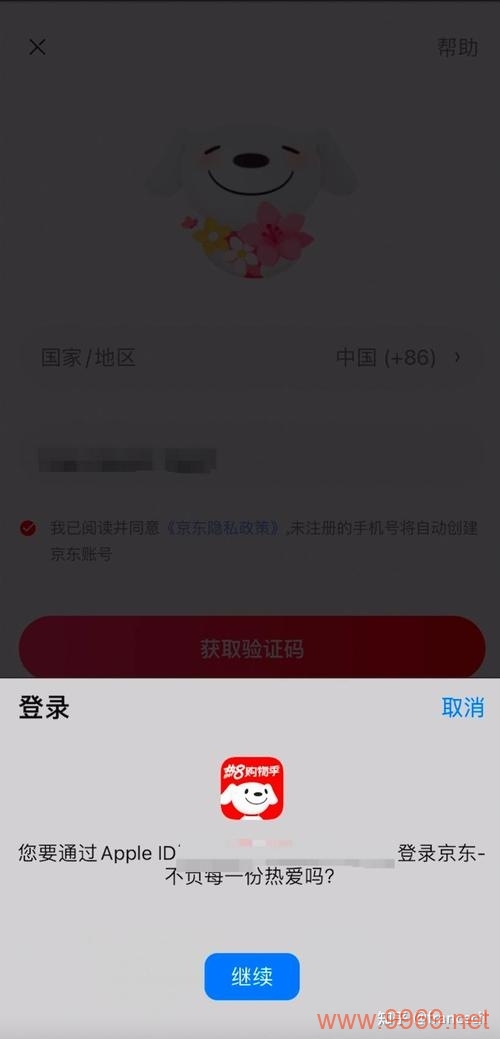 如何发现手机中的安全漏洞？插图