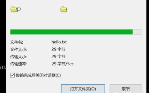 如何在Linux系统中使用rz和sz命令进行文件传输？