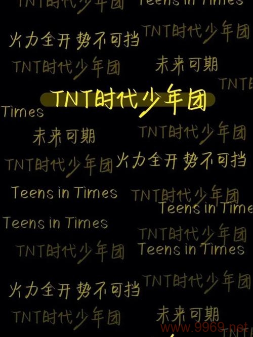 TNT漏洞，安全隐忧还是技术突破？，TNT漏洞真的能成为技术创新的催化剂吗？插图2