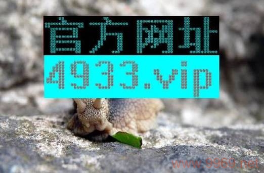 探索网络安全中的漏洞种类，我们如何识别和防范这些风险？插图2