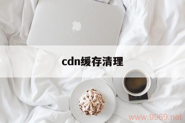 如何删除CDN缓存？插图4