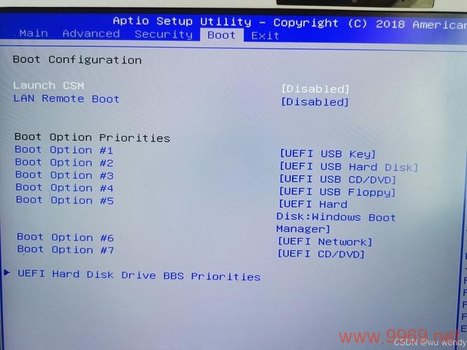 如何查看Linux系统中的BIOS版本信息？插图