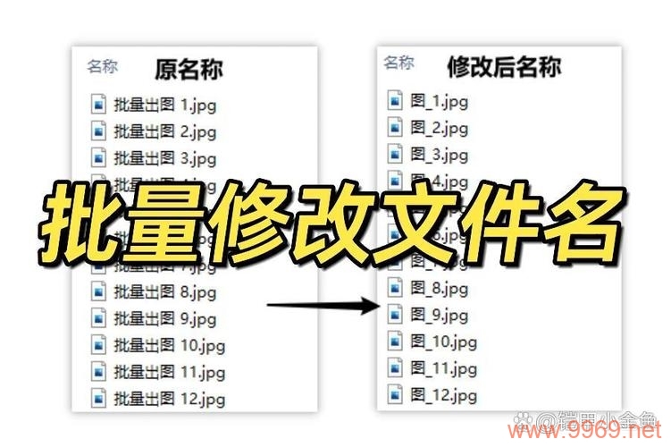 如何更改PS存储文件夹的名称？插图