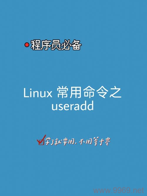 如何在Linux系统中创建FTP用户？插图2