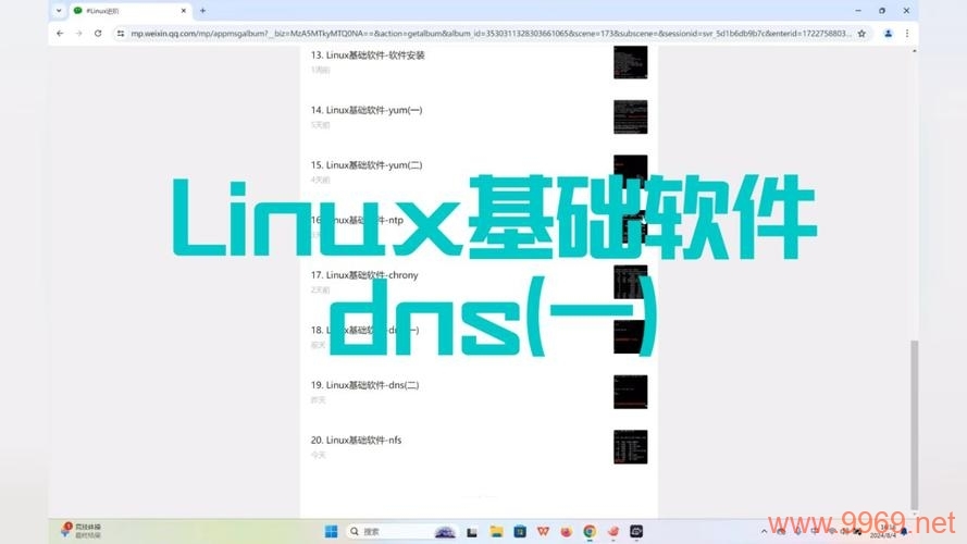 如何下载并安装Linux DNS工具？插图