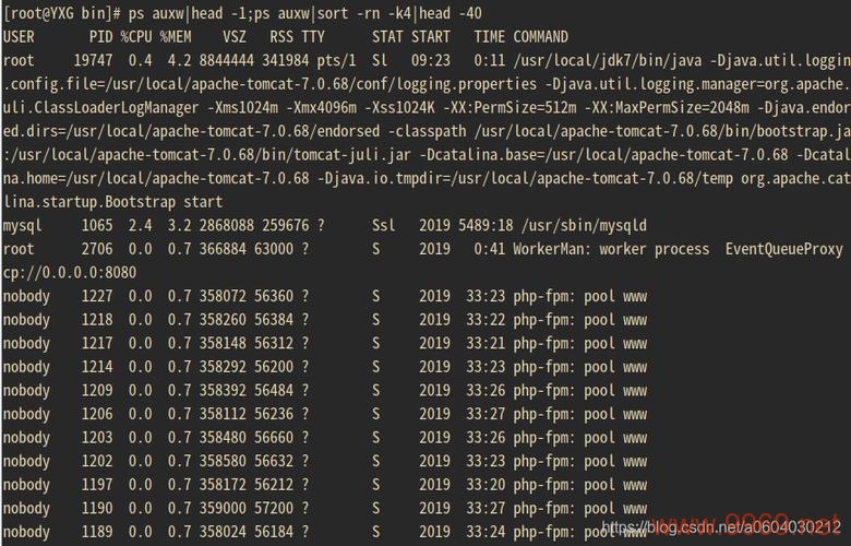 如何查看Linux系统中的内存使用情况？插图