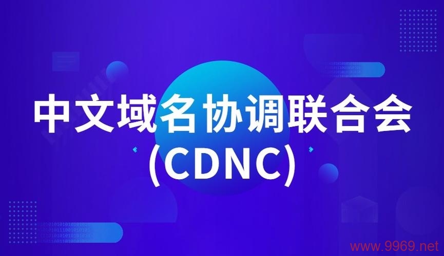 中文域名与CDN，如何提升网站的全球访问速度？插图