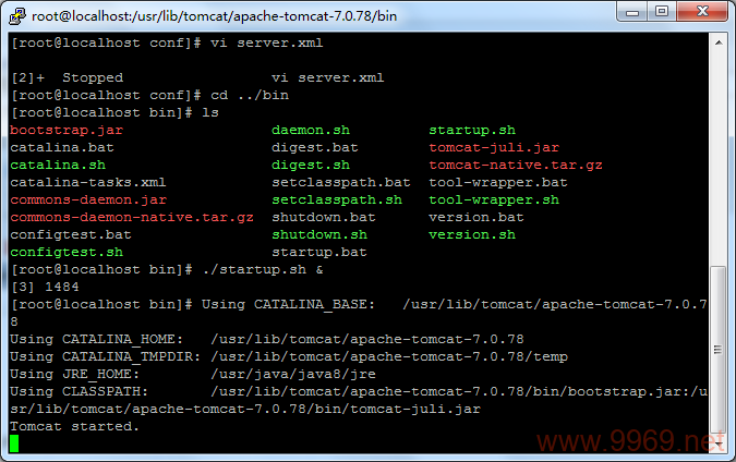 如何启动Linux上的Tomcat服务器？插图2