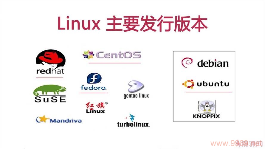 如何确定Linux系统中的编程语言版本？插图2