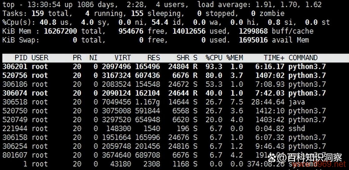 如何查看Linux系统中的内存使用情况？插图