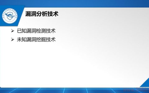 如何有效运用漏洞检测技术来提升网络安全？