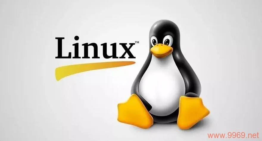 Linux系统的独特之处是什么？插图