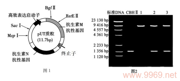 由于您提供的文章标题pclicpfpfhsac-ia_无法直接识别为有意义的文本，我无法为您生成一个原创的疑问句标题。如果您能提供更多关于文章的内容或主题的信息，我将很乐意帮助您创建一个合适的标题。请提供一些详细内容或背景信息以便我能更好地协助您。插图2