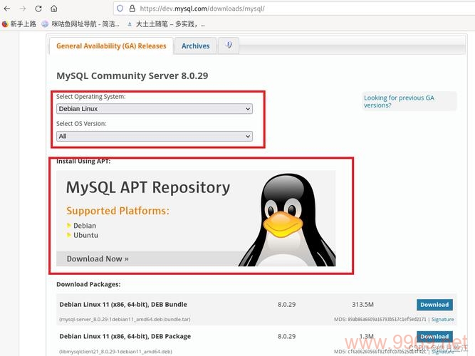 如何在Debian Linux上成功安装MySQL？插图2