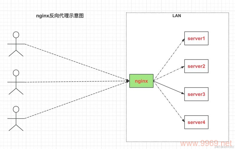 如何检查Linux系统中Nginx的版本信息？插图2