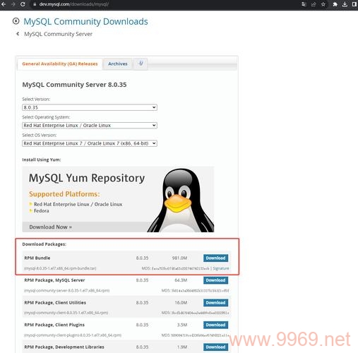 如何下载适用于Linux的MySQL版本？插图2