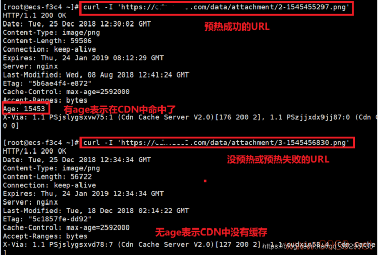 如何确认内容分发网络（CDN）已经成功部署并运行？插图4