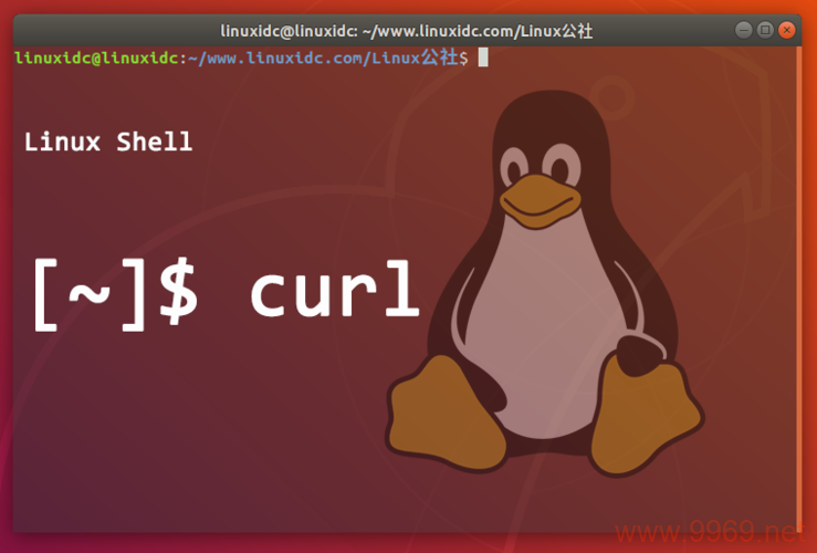 如何在Linux上使用CURL初始化PHP环境？插图2